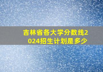 吉林省各大学分数线2024招生计划是多少