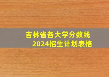 吉林省各大学分数线2024招生计划表格