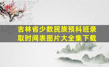 吉林省少数民族预科班录取时间表图片大全集下载