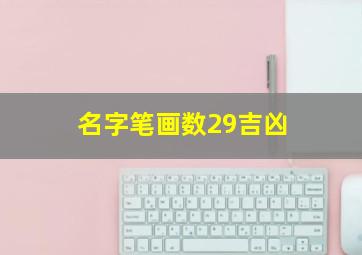 名字笔画数29吉凶