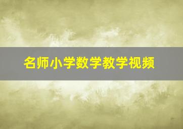 名师小学数学教学视频