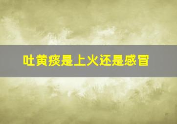 吐黄痰是上火还是感冒