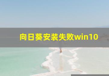 向日葵安装失败win10