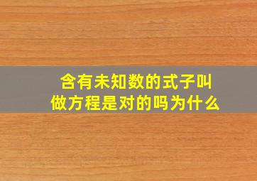 含有未知数的式子叫做方程是对的吗为什么