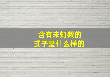 含有未知数的式子是什么样的