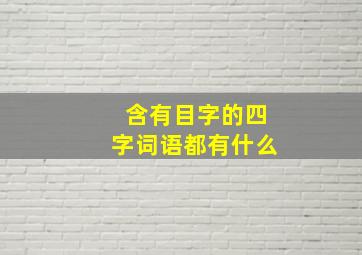 含有目字的四字词语都有什么