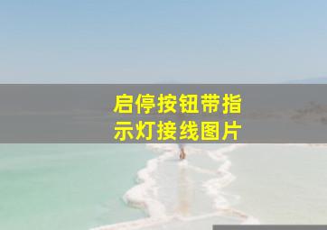 启停按钮带指示灯接线图片