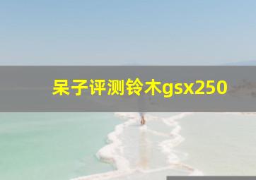 呆子评测铃木gsx250