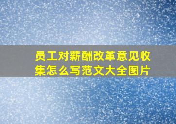 员工对薪酬改革意见收集怎么写范文大全图片