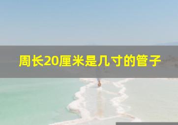 周长20厘米是几寸的管子