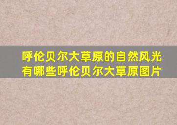 呼伦贝尔大草原的自然风光有哪些呼伦贝尔大草原图片