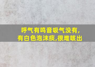 呼气有鸣音吸气没有,有白色泡沫痰,很难咳出