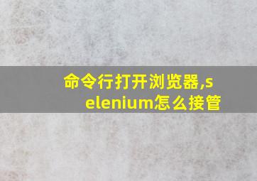 命令行打开浏览器,selenium怎么接管