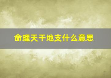 命理天干地支什么意思