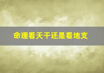 命理看天干还是看地支