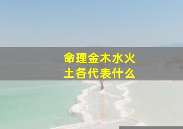 命理金木水火土各代表什么