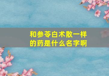 和参苓白术散一样的药是什么名字啊