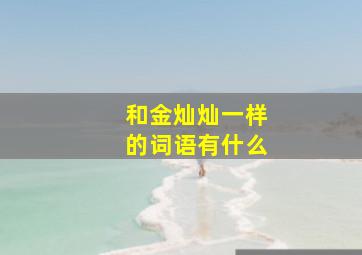 和金灿灿一样的词语有什么