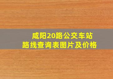 咸阳20路公交车站路线查询表图片及价格