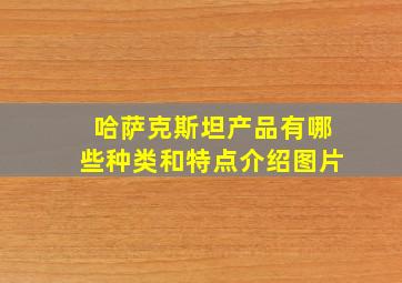 哈萨克斯坦产品有哪些种类和特点介绍图片