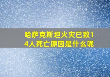 哈萨克斯坦火灾已致14人死亡原因是什么呢