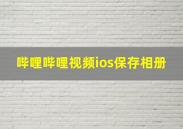 哔哩哔哩视频ios保存相册