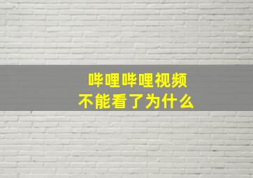 哔哩哔哩视频不能看了为什么