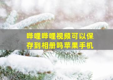 哔哩哔哩视频可以保存到相册吗苹果手机