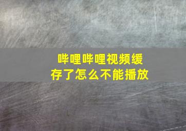 哔哩哔哩视频缓存了怎么不能播放