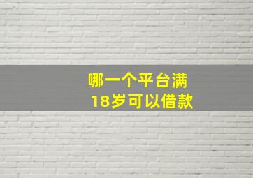 哪一个平台满18岁可以借款