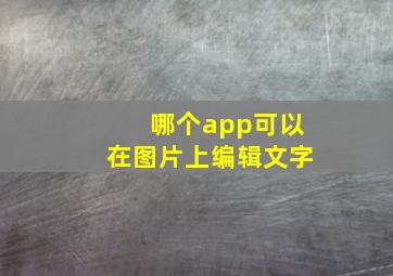 哪个app可以在图片上编辑文字