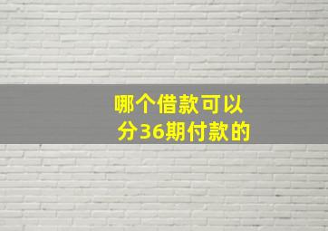 哪个借款可以分36期付款的