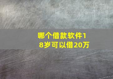 哪个借款软件18岁可以借20万