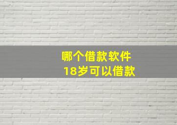 哪个借款软件18岁可以借款