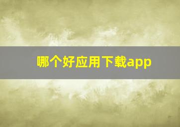 哪个好应用下载app