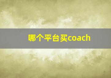 哪个平台买coach