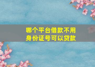 哪个平台借款不用身份证号可以贷款