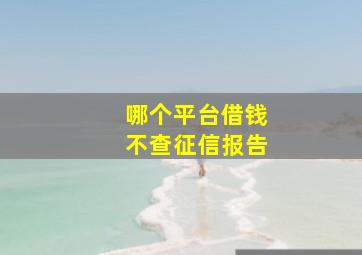 哪个平台借钱不查征信报告