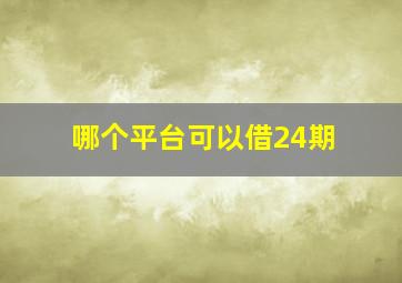 哪个平台可以借24期