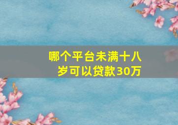 哪个平台未满十八岁可以贷款30万