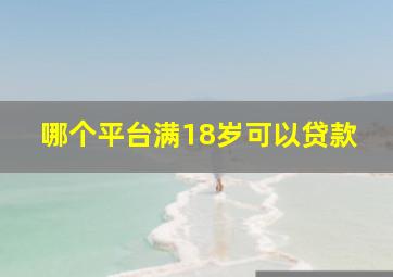 哪个平台满18岁可以贷款