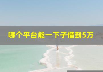 哪个平台能一下子借到5万