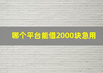 哪个平台能借2000块急用