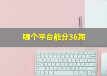 哪个平台能分36期