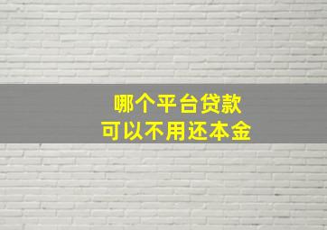 哪个平台贷款可以不用还本金