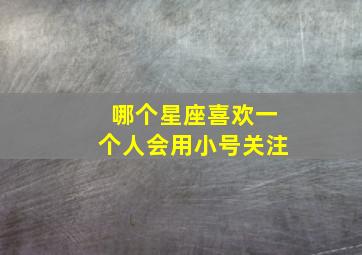 哪个星座喜欢一个人会用小号关注