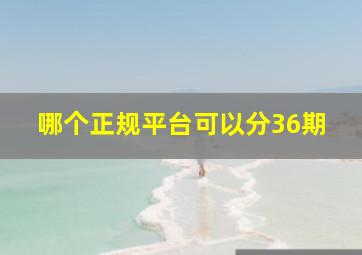 哪个正规平台可以分36期