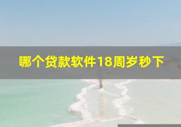 哪个贷款软件18周岁秒下