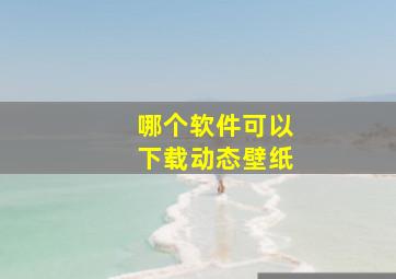 哪个软件可以下载动态壁纸