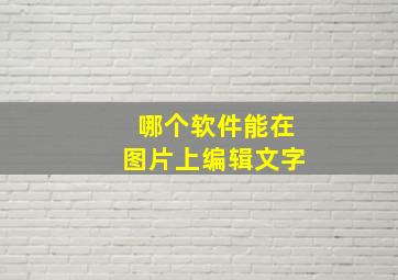 哪个软件能在图片上编辑文字